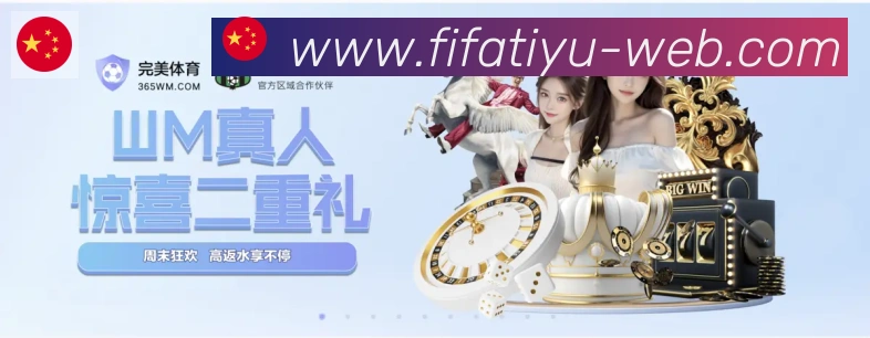 互动解说服务